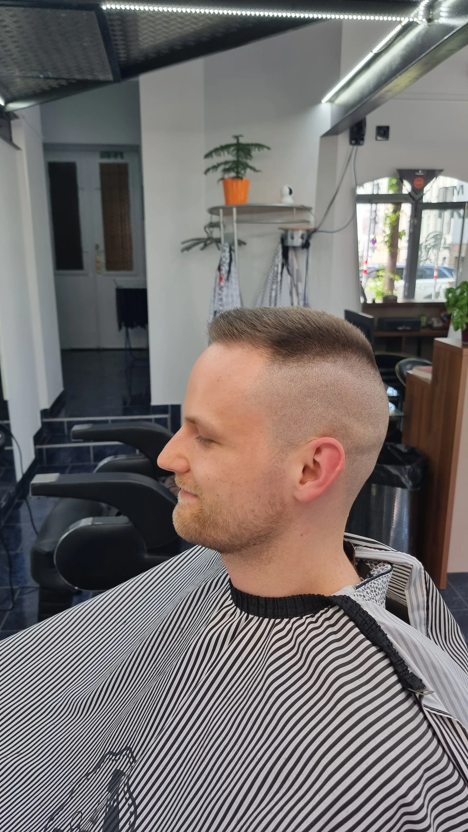 Blick in den Salon